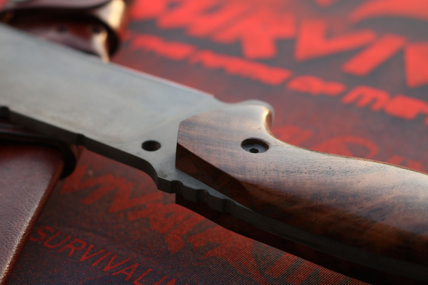 Custom Handmade High Carbon Steel Tactical Hunting Bowie knife with Leather Sheath